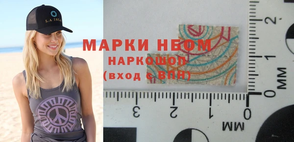 гидра Надым