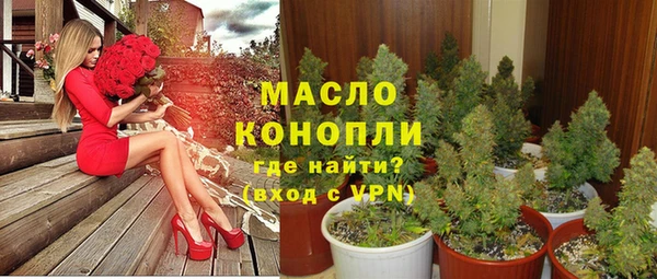 гидра Надым