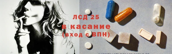 гидра Надым