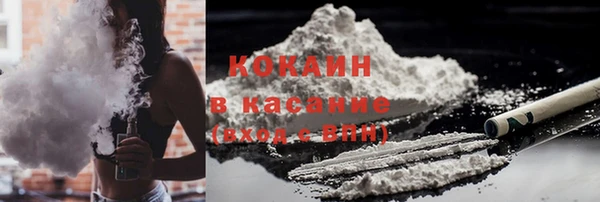 гидра Надым