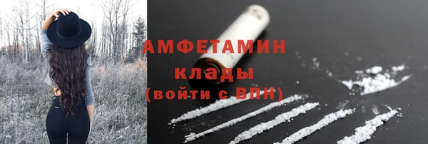 гидра Надым